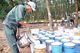 Sản phẩm Mủ Cao su Chư Sê